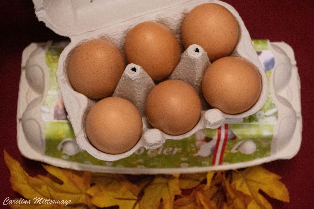 Bio Eier Größe M